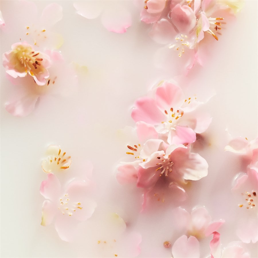 The Ritual Of Sakura Foaming Shower Gel von RITUALS Letzter Tag