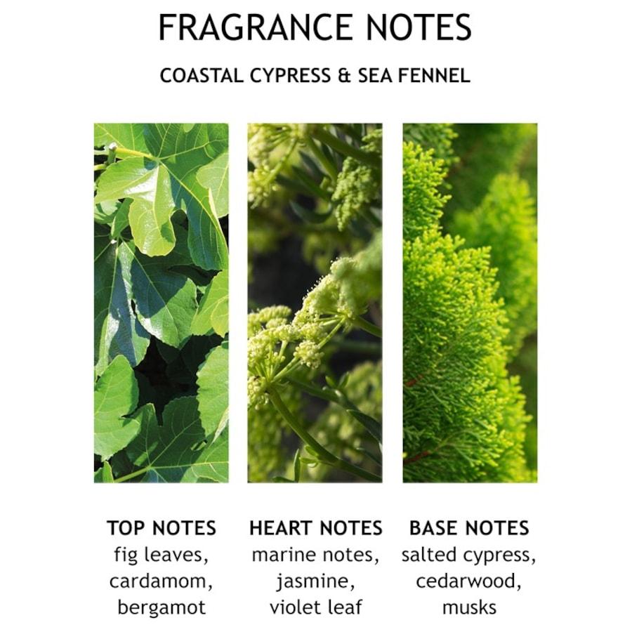 Coastal Cypress & Sea Fennel Bath & Shower Gel von Molton Brown Discount Store für neue Produkte