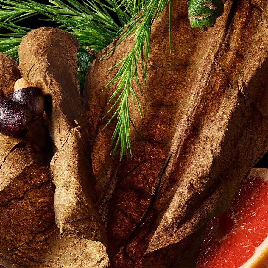 Tobacco Absolute Bath & Shower Gel von Molton Brown 50% Rabatt für begrenzte Zeit