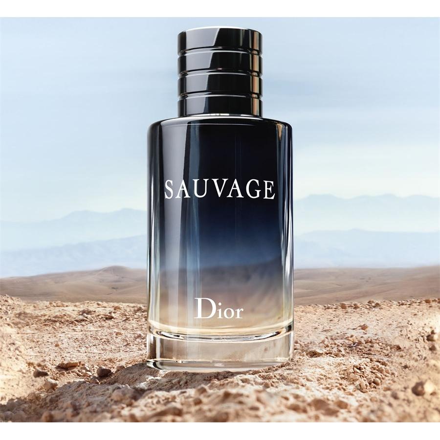 DIOR Sauvage Eau de Toilette Spray Letzte 2 Tage