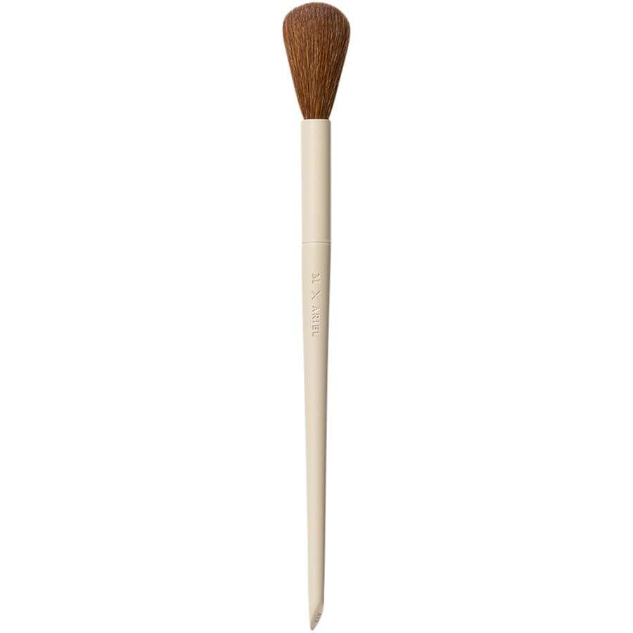 Morphe A22 Signature Blush Brush M X Ariel Flash Sale