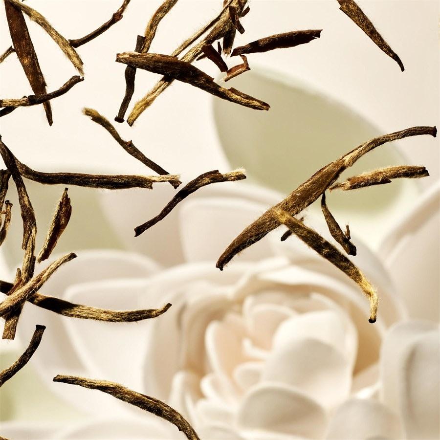 The Ritual Of Karma After Sun Gel Lotion von RITUALS Speichern exportieren