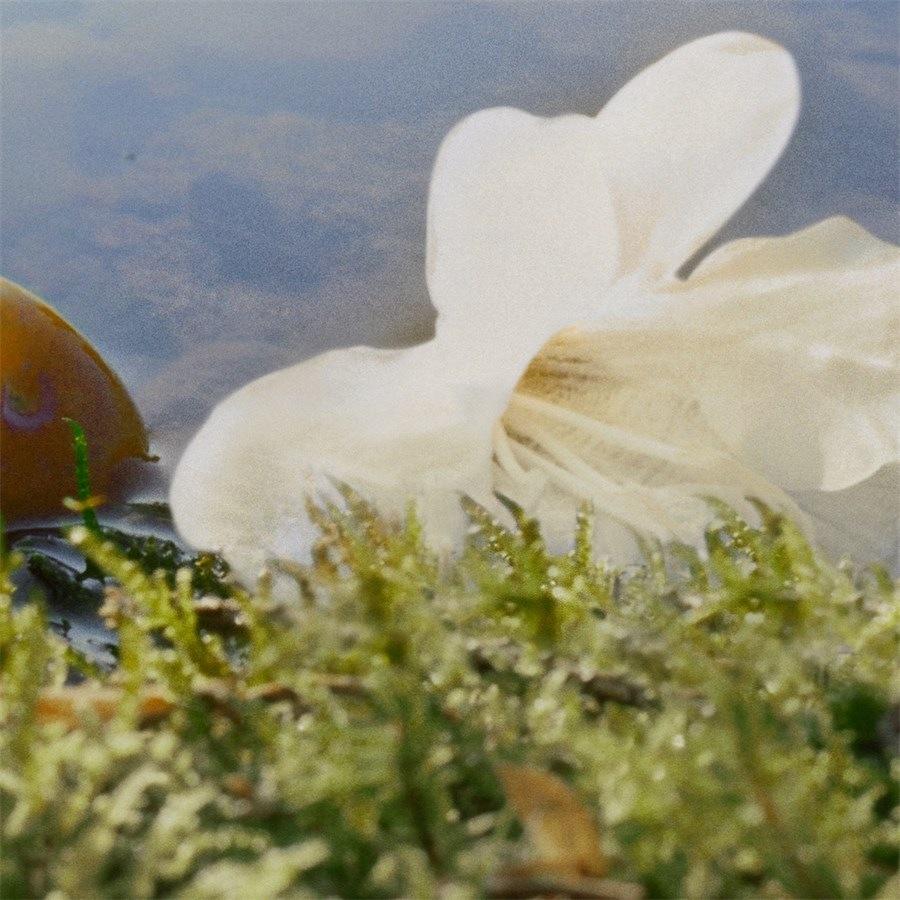 Nomade Eau de Parfum Spray von Chloé Clearance-Verkauf
