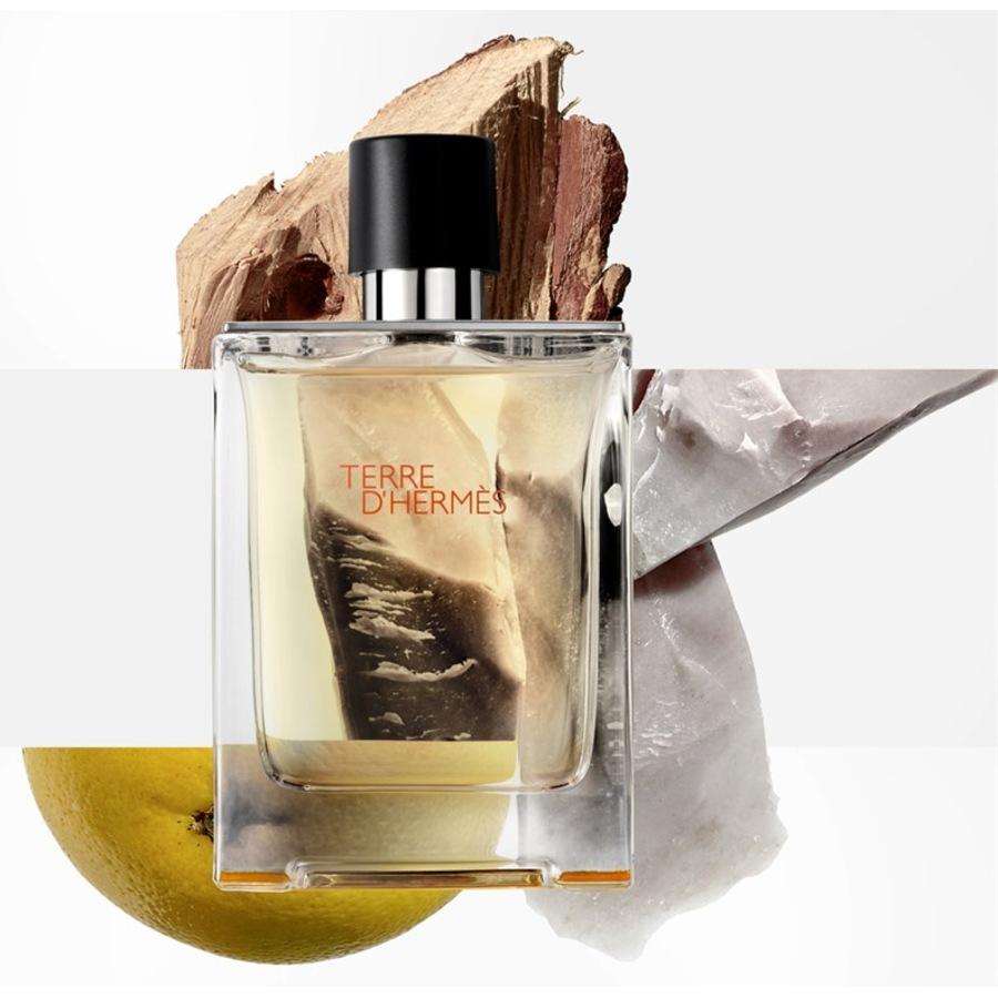 Terre d'Hermès Eau de Toilette Spray von Hermès Günstig kaufen