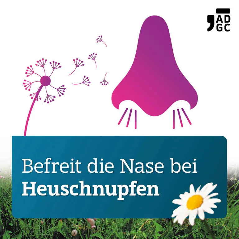 shopapotheke MOMETASON ADGC® Allergie-Nasenspray stark bei Heuschnupfen und antientzündlich Vierteljährliche Förderung