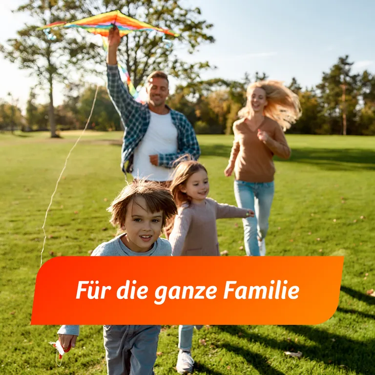 shopapotheke Fenistil Gel Dimetindenmaleat 1 mg/g zur Linderung von Juckreiz Kostenloser Versand international