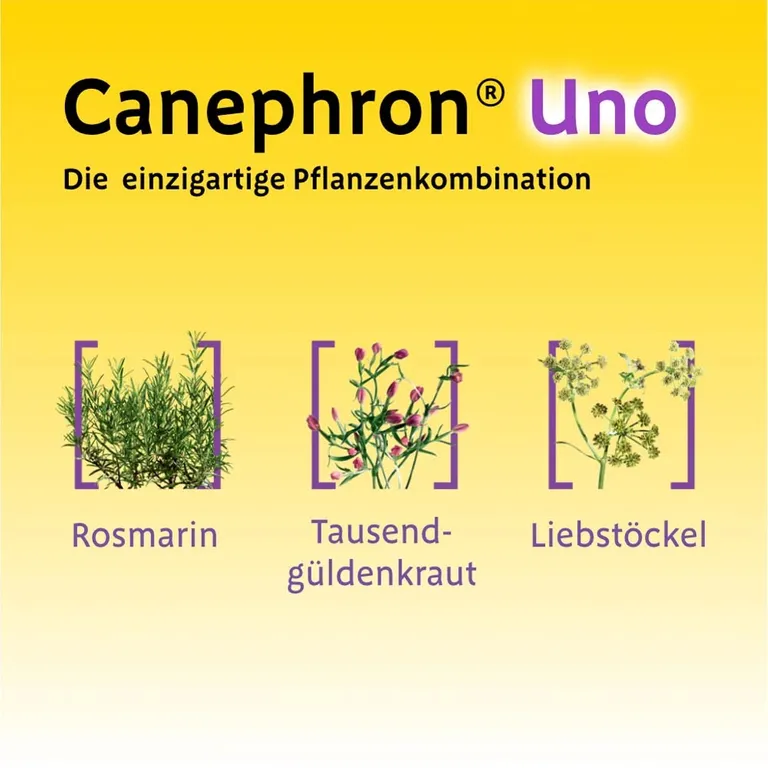 shopapotheke Canephron® Uno bei akuter Blasenentzündung Weihnachtsangebot