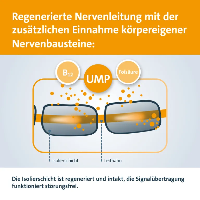 shopapotheke Keltican® forte Kapseln mit Uridinmonophosphat (UMP) Vitamin B12 und Folsäure zur Unterstützung der Nervenregeneration JETZT KAUFEN