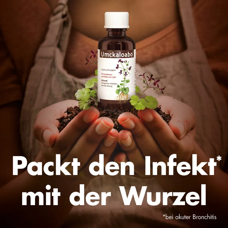 shopapotheke Umckaloabo® Lösung Cyber Monday