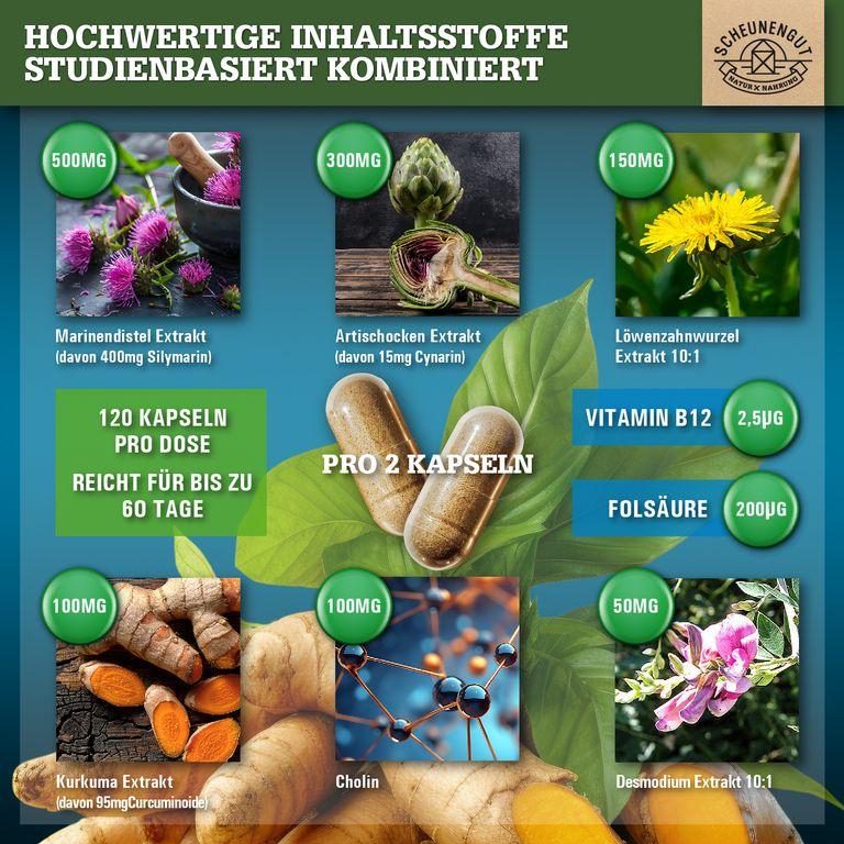 shopapotheke Scheunengut® LEBER INTENSO+ Kostenloser Versand international