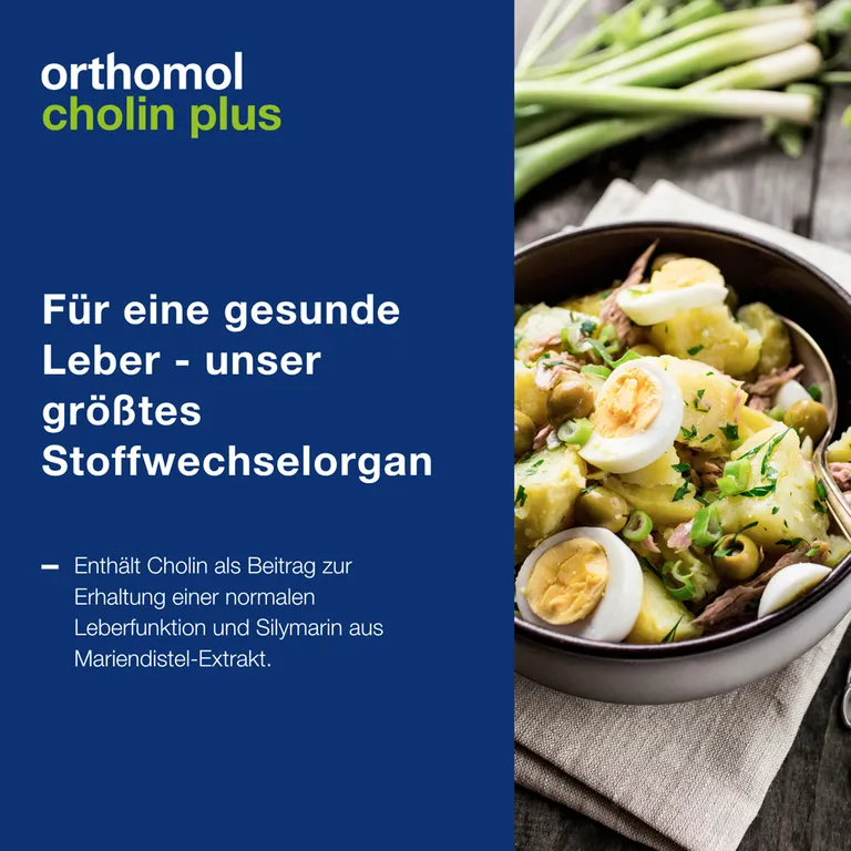 shopapotheke Orthomol Cholin Plus - zur Erhaltung einer normalen Leberfunktion - mit Silymarin aus Mariendistel-Extrakt Begrenzt auf 3 Tage