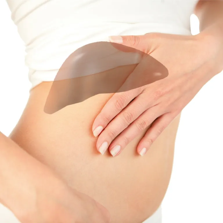 shopapotheke Hepar Hevert Lebertabletten Hotsell
