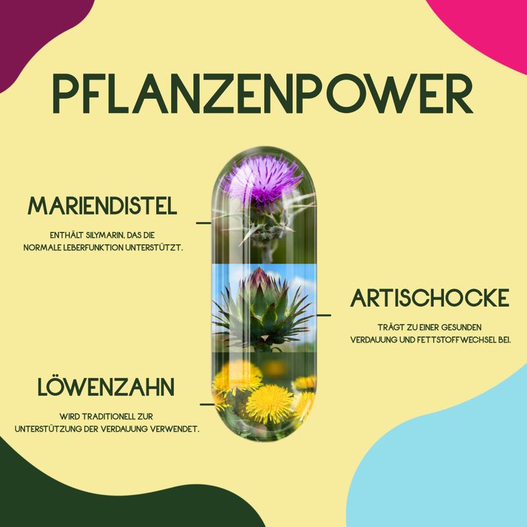 shopapotheke WURZELLIEBE Mariendistel Komplex mit Artischockenextrakt & Löwenzahn mit 80% Silymarin - 120 Kapseln Fabrikverkauf