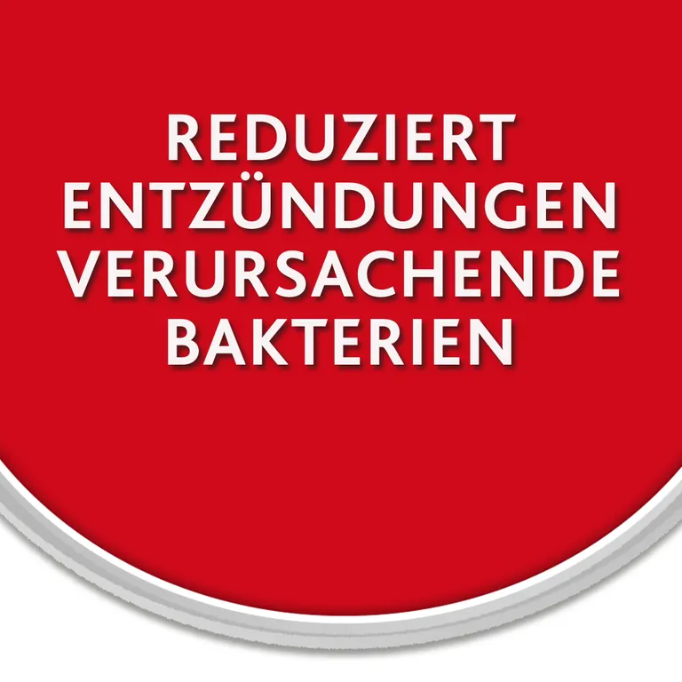 shopapotheke Chlorhexamed Fluid 0 1 % mit Chlorhexidin Zeitbegrenzte Promotion