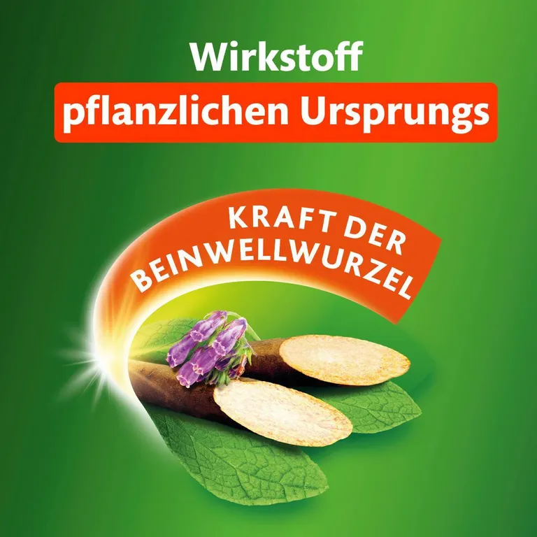 shopapotheke Kytta® Schmerzsalbe gegen Muskel- Kniegelenk- und Rückenschmerzen Große Rabatte