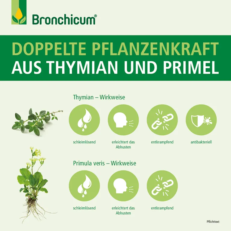 shopapotheke Bronchicum Elixir - Hustensaft bei akuter Bronchitis und Husten Neueste Stile