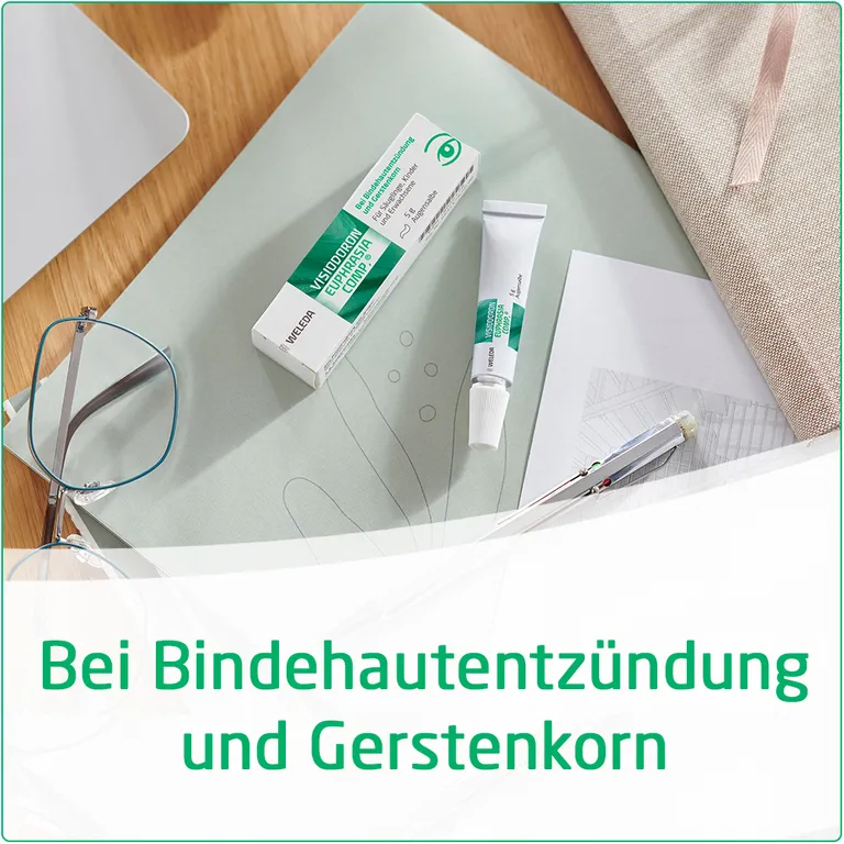 shopapotheke Visiodoron Euphrasia comp.® Augensalbe - bei Bindehautentzündung und Gerstenkorn Super Rabatt