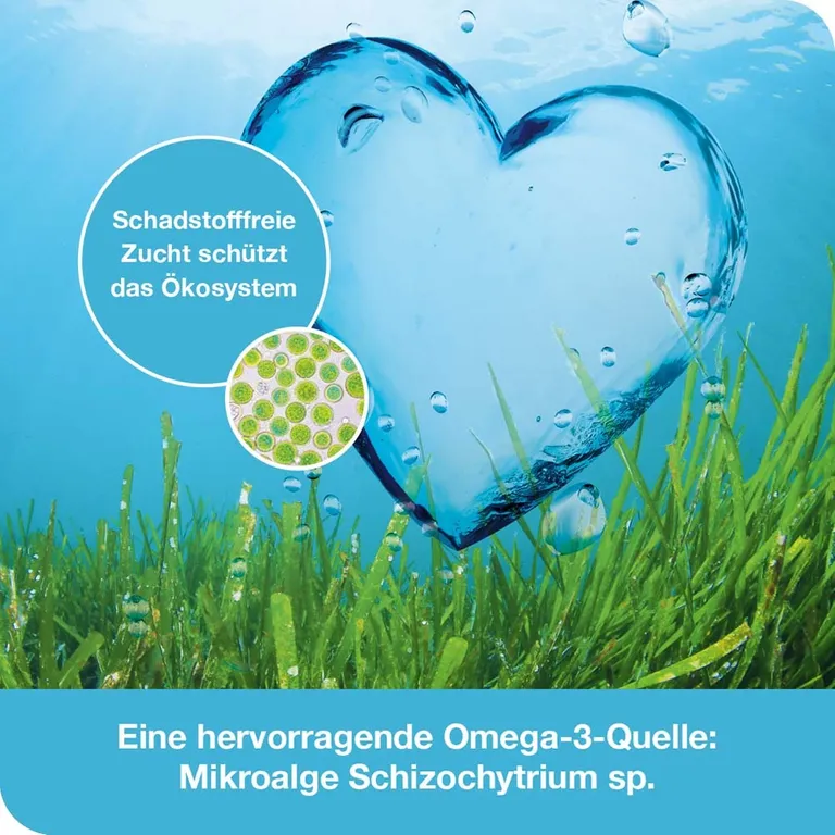 shopapotheke omega3-Loges pflanzlich – Omega-3 Kapseln vegan 50% Rabatt mit kostenlosem Versand