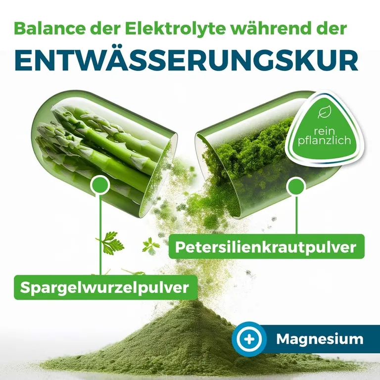 shopapotheke NYRAX® Aqua Balance während Entwässerungskuren Kostenlose Rückgabe