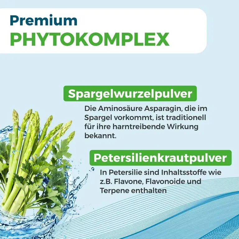 shopapotheke NYRAX® Aqua Balance während Entwässerungskuren Kostenlose Rückgabe