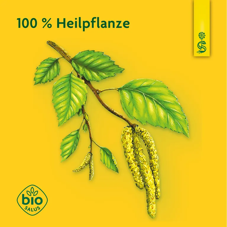 shopapotheke Schoenenberger® naturreiner Heilpflanzensaft Birke Online