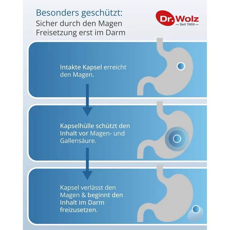shopapotheke Dr. Wolz Darmflora* plus URO 40 Kapseln Fabrik Onlineshop