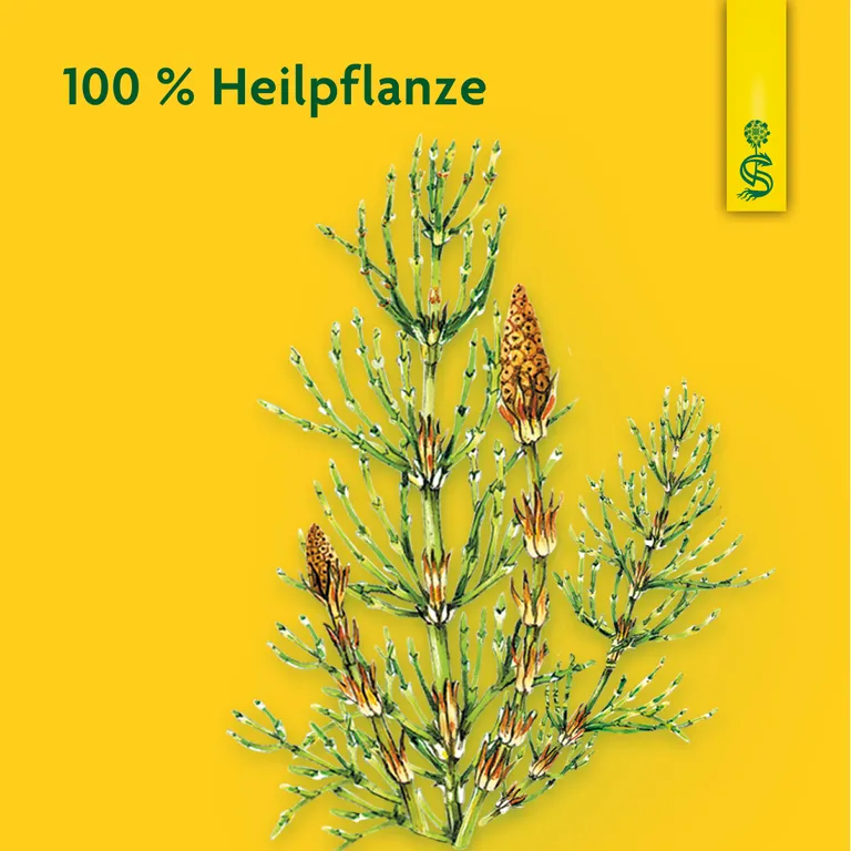 shopapotheke Schoenenberger® naturreiner Heilpflanzensaft Zinnkraut Valentinstagsangebot