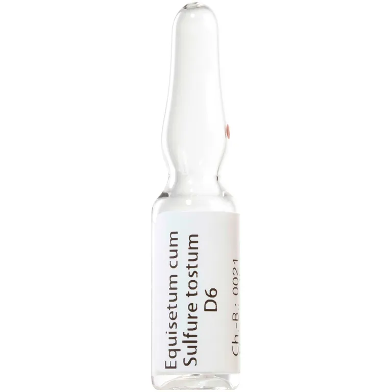 shopapotheke Equisetum Cum Sulfure Tostum D6 Preisnachlass