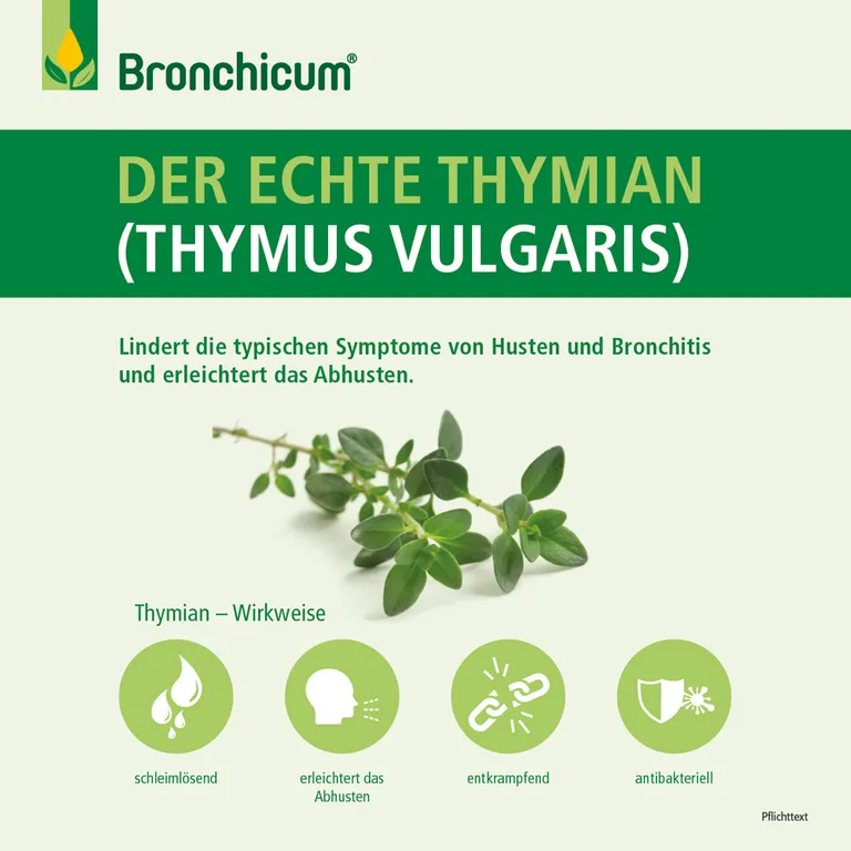 shopapotheke Bronchicum Thymian Lutschtabletten - Schleimlösung bei Erkältungshusten und akuter Bronchitis Kostenloser Versand international