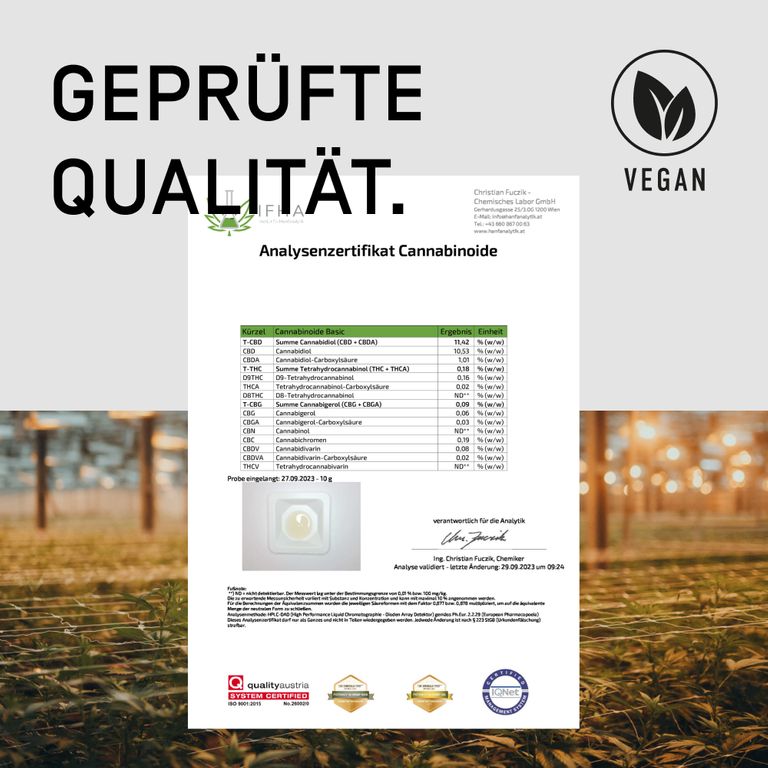 shopapotheke ORGANIC ELEMENTS Vollspektrum CBD Öl 10% Weihnachtsangebot