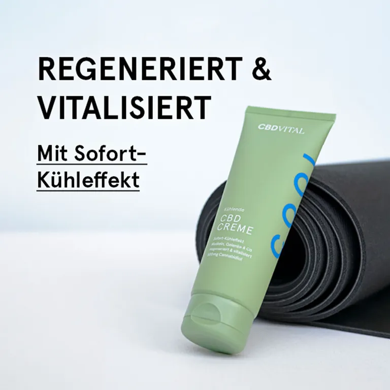 shopapotheke CBD VITAL Kühlende CBD Creme Neuheiten