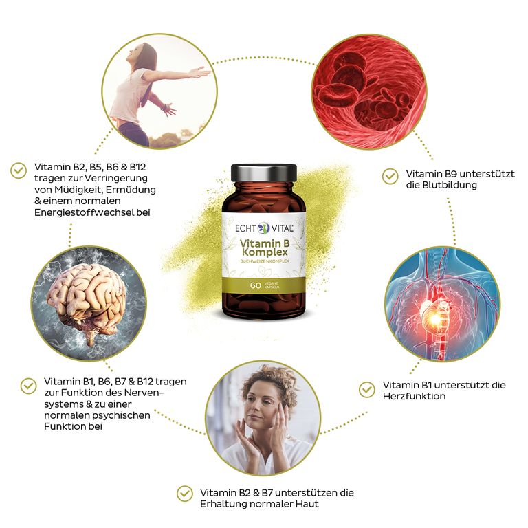shopapotheke Echt Vital Vitamin B Komplex Neueste Stile
