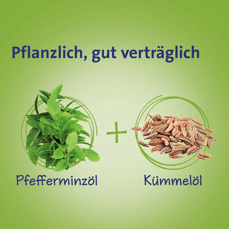 shopapotheke Carmenthin® bei Verdauungsstörungen Riesige Ersparnisse