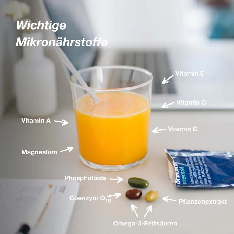 shopapotheke Orthomol Mental - für Gehirn Konzentration und Gedächtnis - mit Omega-3-Fettsäure Magnesium und Vitamin B12 - Granulat/Kapseln Fabrikpreis