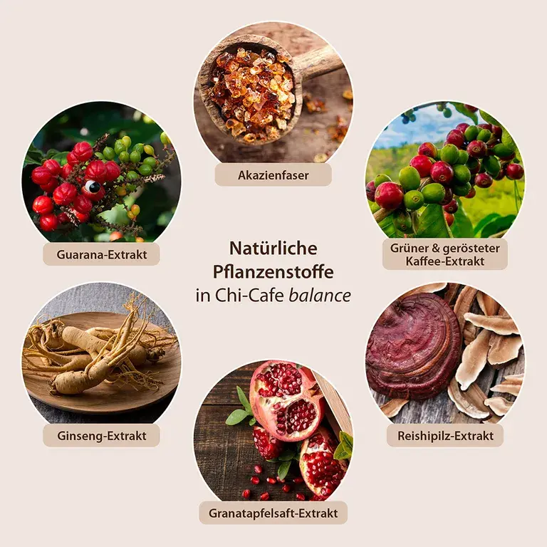 shopapotheke Chi-Cafe balance Wellness Kaffee mit Akazienfaser Guarana Reishi-Pilz Ginseng Sonderangebot