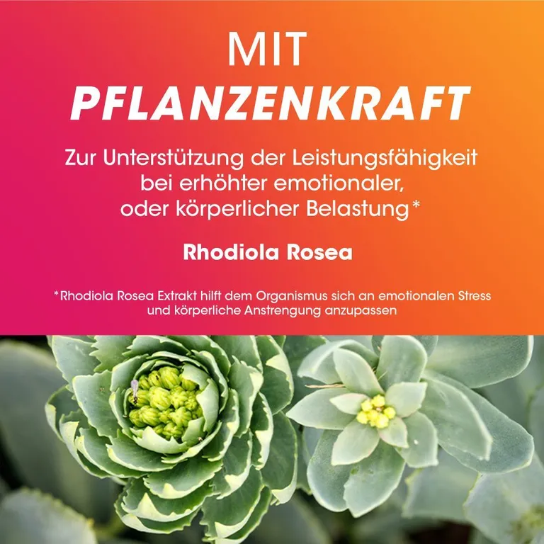 shopapotheke Vitasprint Duo Energie 2-Phasen-Tablette - Vitamin B-Komplex hochdosiert Vatertagsangebot