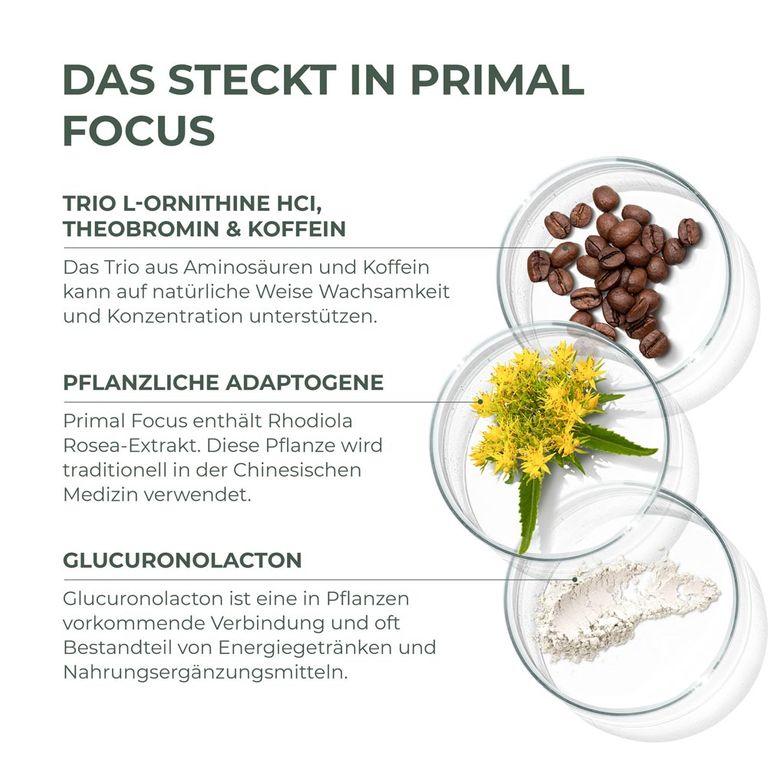 shopapotheke Primal Focus Kogni Boost von Primal Harvest® Heißer Verkauf