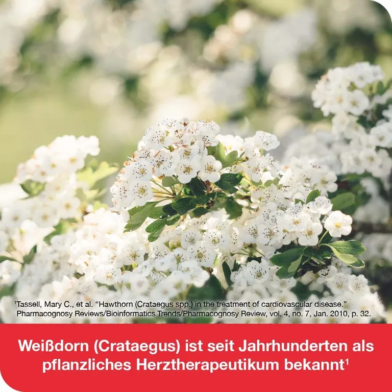 shopapotheke cratae-Loges® 450 mg Weißdorn Online Outlet