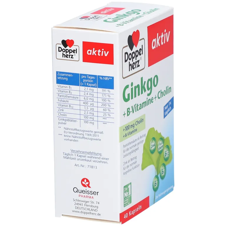 shopapotheke DoppelherzⓇ Ginkgo + B-Vitamine + Cholin Nur für heute