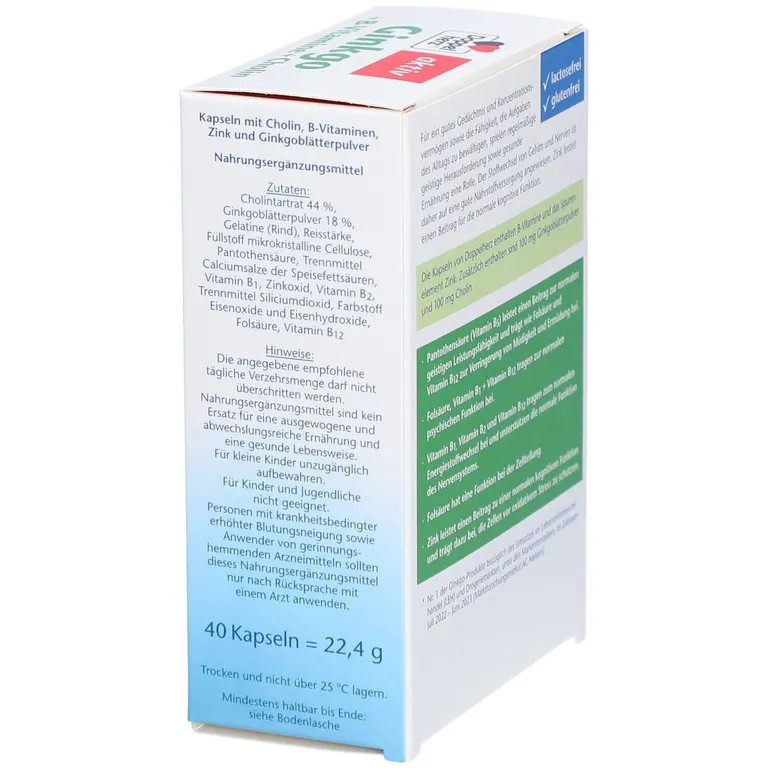 shopapotheke DoppelherzⓇ Ginkgo + B-Vitamine + Cholin Nur für heute