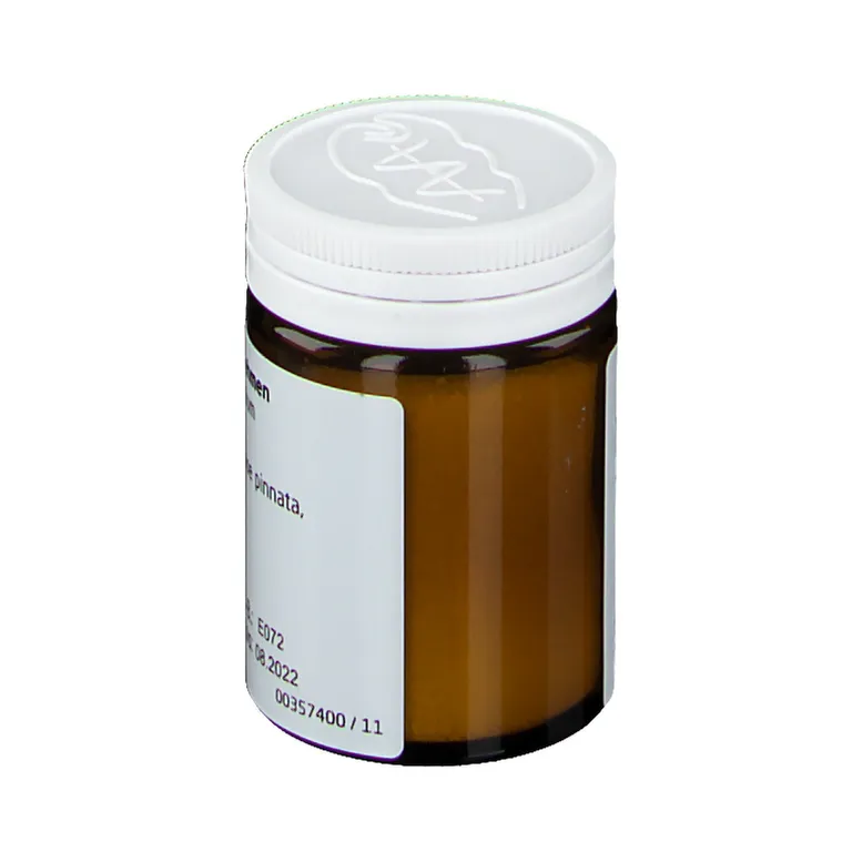 shopapotheke Bryophyllum 50% Trituration Discount Store für neue Produkte