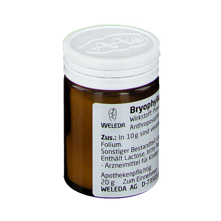 shopapotheke Bryophyllum 50% Trituration Discount Store für neue Produkte