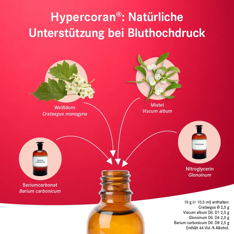 shopapotheke Pascoe Hypercoran® Tropfen - natürliches Herzmittel bei Bluthochdruck u.a. mit Weißdorn und Mistel Fabrikladen