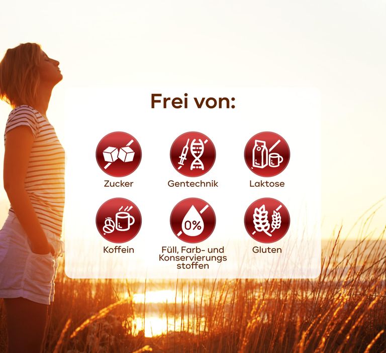 shopapotheke plantomol® Bitterrein - Leber Kur Kapseln mit Mariendistel Artischocke Löwenzahn & Cholin 2025