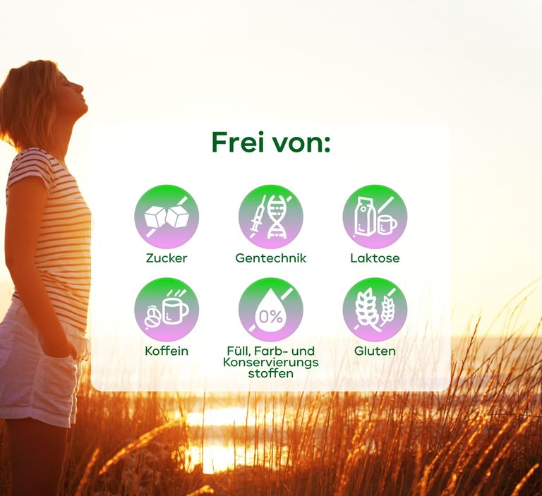 shopapotheke plantomol® Mariendistel Kapseln mit Artischocke & Löwenzahn als Jahresvorrat Rabatt