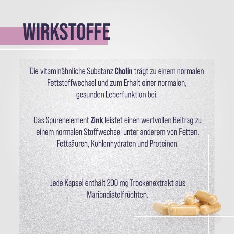 shopapotheke Sanct Bernhard Mariendistel-Kapseln Riesige Ersparnisse