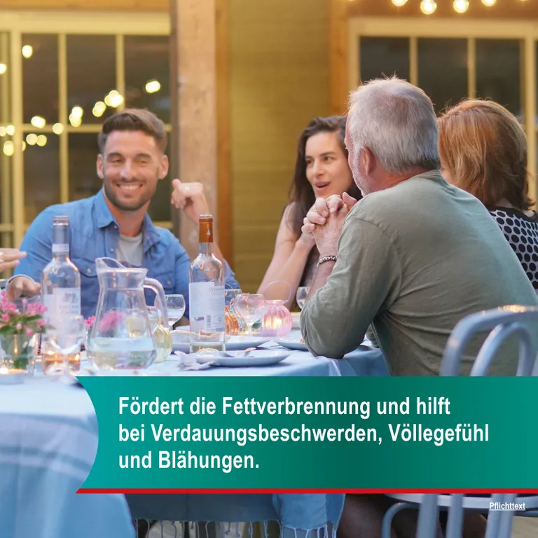 shopapotheke Hepar-SL® 320 mg Fabrikladen