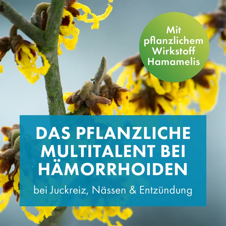 shopapotheke FAKTU Lind Hämorrhoidensalbe - bei Jucken Nässen Brennen Entzündungen kleinen Blutungen 50 g (mit Applikator) im Angebot