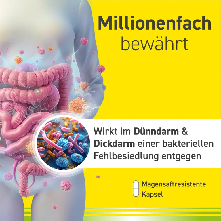shopapotheke Omniflora® N – Probiotika Kapseln für die Darmflora Top Angebot