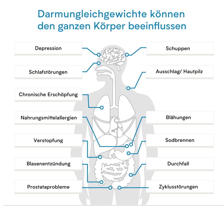 shopapotheke Verisana Parasiten Stuhltest Begrenztes Angebot